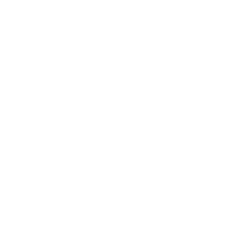 Icône